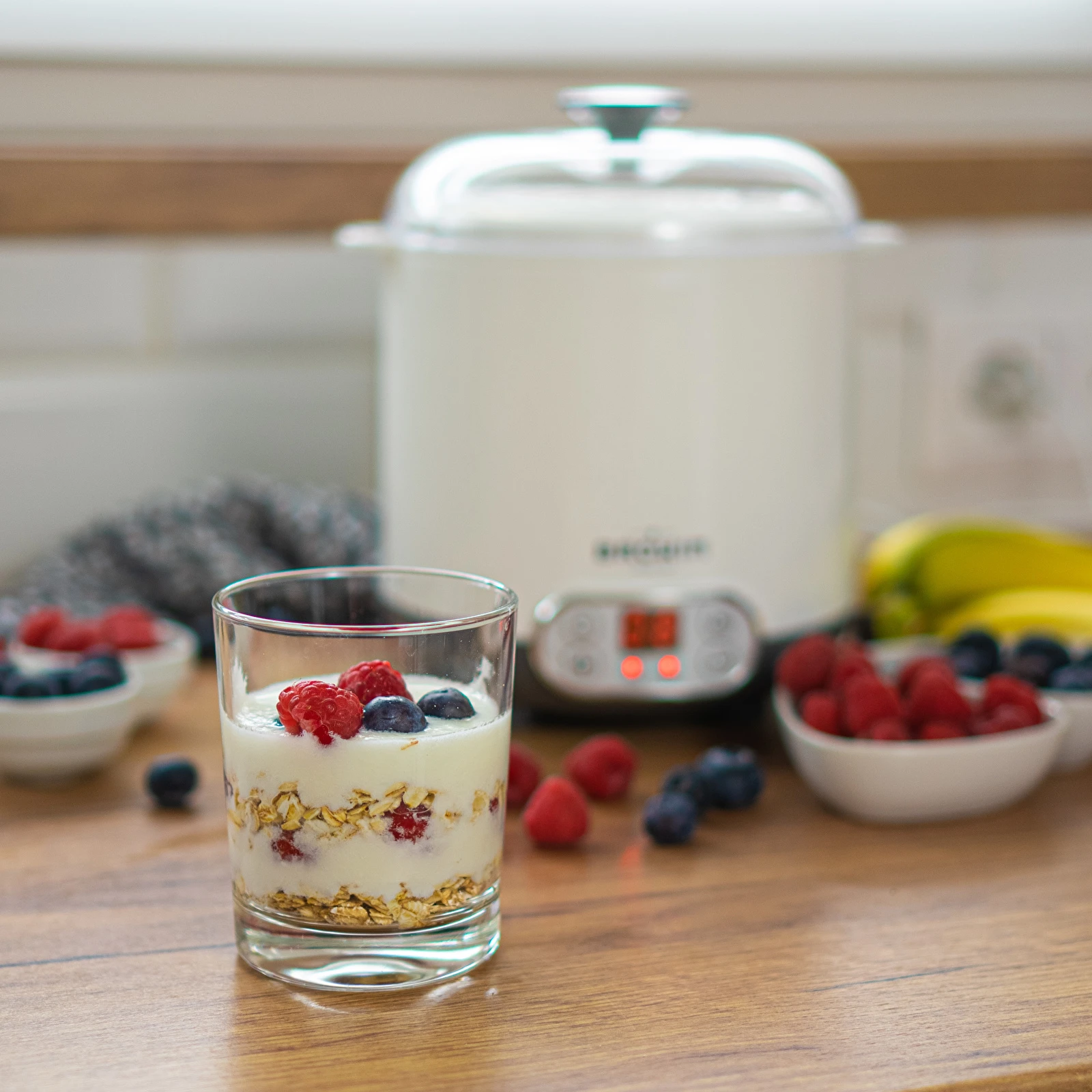 Yogurt Maker + 3 Free Probiotic Starters - TopThermUSA