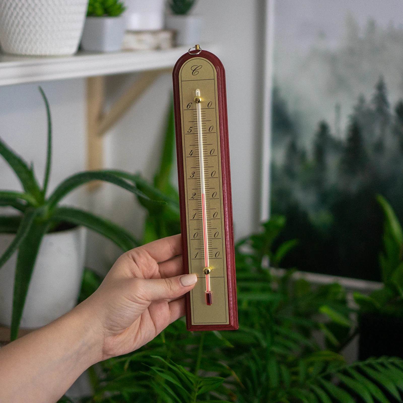 https://browin.com/static/images/1600/indoor-thermometer-with-a-golden-scale-10-c-to-60-c-28cm-mix-013200_a.webp