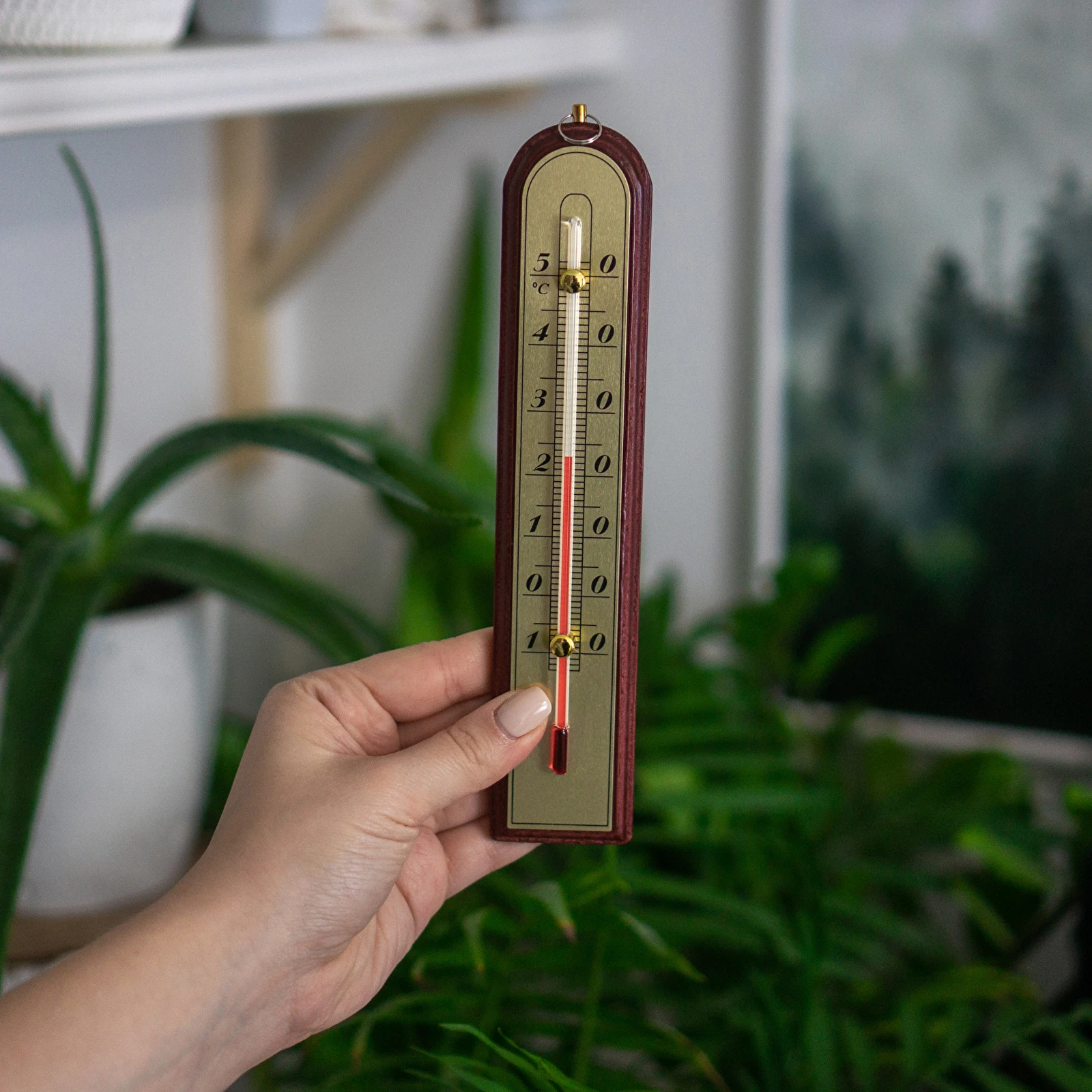 Wooden Indoor Wall Mounted Outdoor Thermometer - China Wooden