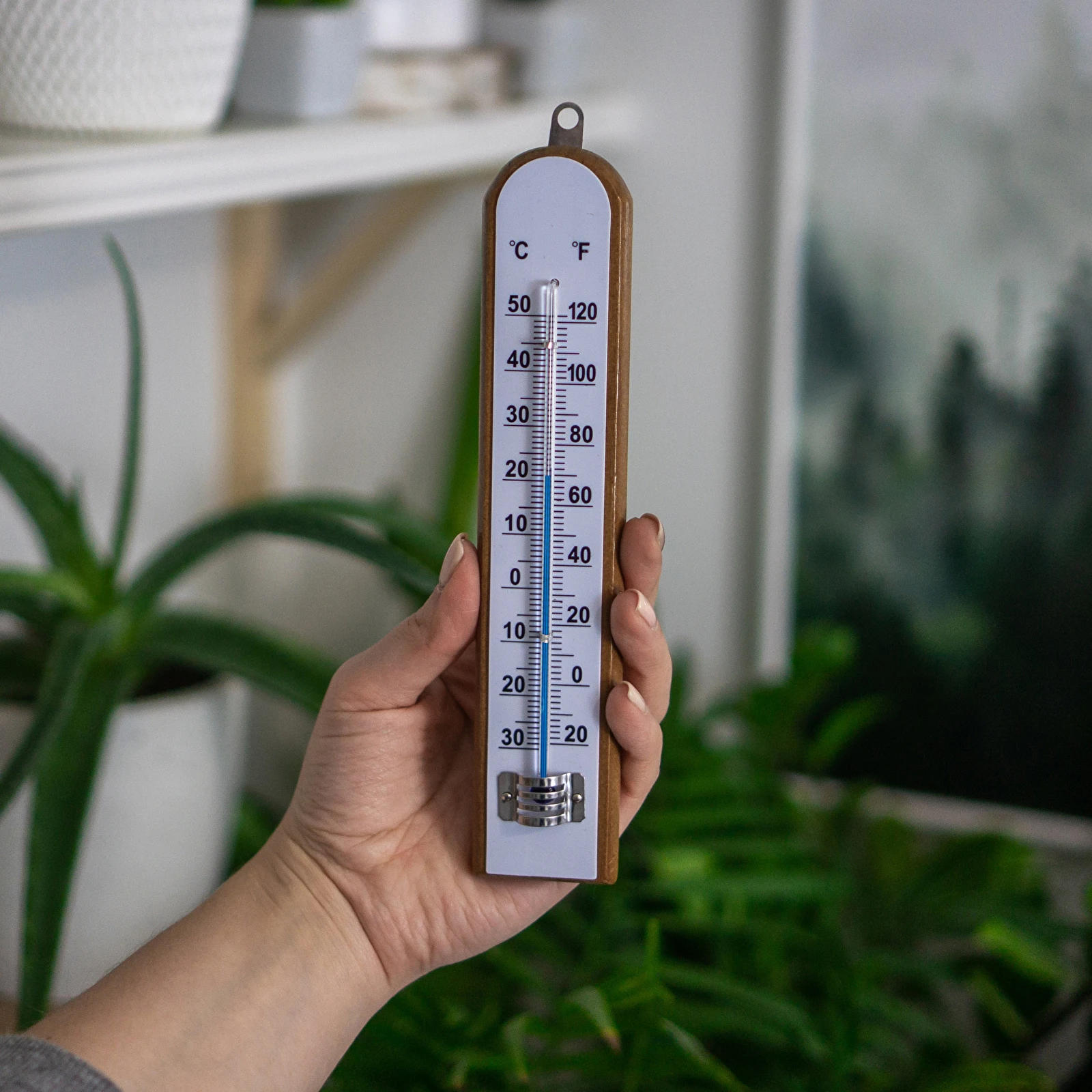 RARE Room thermometer F. Schwabe. Moscow Degree scale - Réaumur