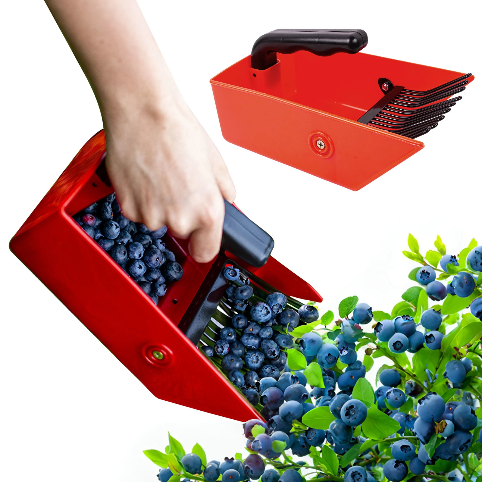 Blueberry picker - quick and easy fruit picking! symbol:705002