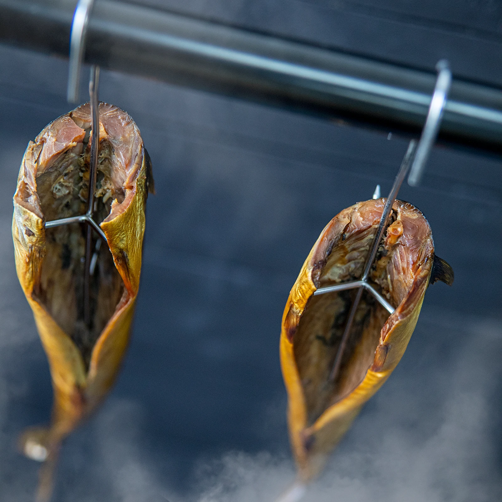 BIOWIN Pack of 5 Fish Hooks, Butcher Hooks, Stainless Steel Hooks, Smoking  Hooks, Food Hooks, for Cold and Hot Smoking, for Fish and Meat Smoking -  Professional Hooks, Rustproof : : Sports