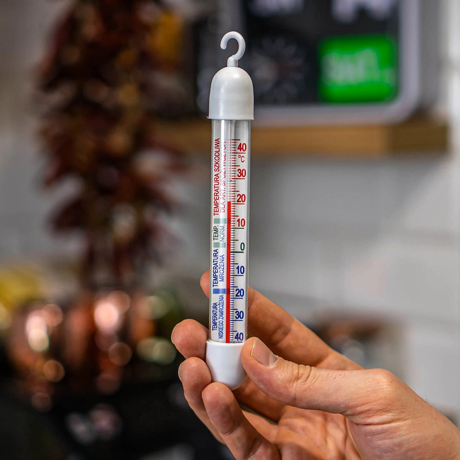 Thermometer for refrigerators and freezers symbol:040200