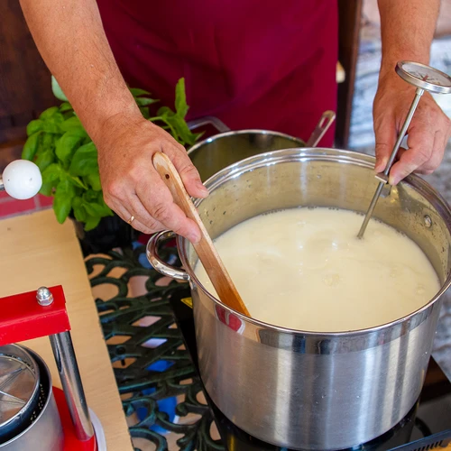 Cottage cheese bacterial cultures - 2 ['bacterial cultures', ' cheese bacteria', ' homemade cheese', ' homemade cottage cheese', ' curdled milk', ' cheese production', ' starter cultures', ' cheese starter', ' lactic fermentation', ' mix for cheese fermentation']