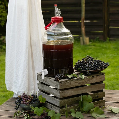 Easy Winemaking Kit - an easy path to homemade wine - 15 ['homemade wine', ' winemaking kit', ' how to make wine easily', ' wine preparation kit', ' easy wine recipe', ' shatterproof demijohn', ' wine demijohn', ' wine demijohn with faucet', ' winemaking yeast', ' pectic enzyme', ' anti-fly airlock', ' winemaking starter kit', ' winemaking kit for beginners', ' easy way to make your own wine']