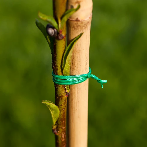 Flat gardening wire, PVC coated, 50m x 2mm - 2 ['flat garden wire', ' garden wire', ' flat wire', ' wire flat', ' garden']