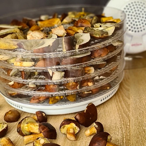 Food dehydrator 350W - 6 ['mushroom drying', ' food drying', ' herb drying', ' fruit drying', ' meat drying', ' prunes', ' food drying', ' dehydrator', ' dried tomatoes', ' dried apples']