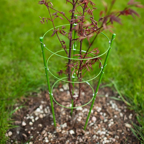 Garden plant support rings, 3 rings 0,5m - 3 ['plant ring supports', ' ring support for plants', ' plant support', ' plant supports', ' support for creepers', ' plant supports castorama', ' garden plant supports', ' potted plant supports']