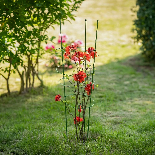 Garden plant support rings , 3 rings 0,75m - 4 ['plant ring supports', ' ring support for plants', ' plant support', ' plant supports', ' support for creepers', ' plant supports castorama', ' garden plant supports', ' potted plant supports']