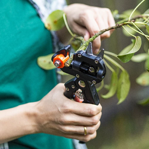 Grafting shears with tape - 4 ['gardening shears', ' grafting tool', ' grafting device', ' for plant grafting', ' for tree grafting', ' tree grafting', ' plant grafting']