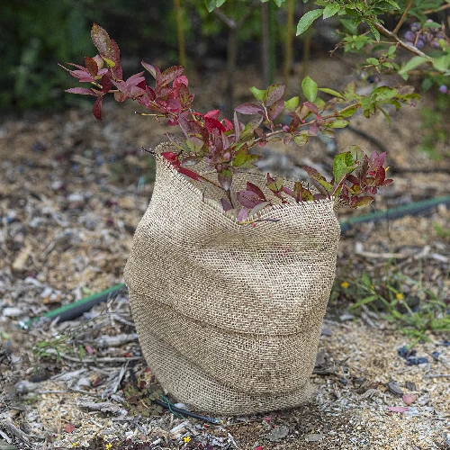 Jute fabric 30 cm / 5 m - 6 ['fabric of jute', ' jute fabric', ' fabric to protect trees', ' natural jute fabric', ' jute eco-friendly fabric', ' binding fabric', ' craft fabric']