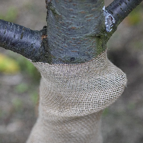 Jute tape 10 cm / 5 m - 7 ['tape of jute', ' jute tape', ' tape for tomatoes', ' tape for cucumbers', ' natural tape', ' eco-friendly tape', ' binding tape', ' craft tape', ' jute ribbon']