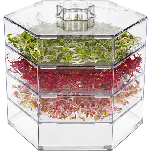 Multi tier seed sprouter + radish seeds - 2 ['healthy sprouts', ' home grown sprouts', ' sprouts vegan product', ' growing sprouts at home', ' radish sprouts', ' growing sprouts', ' radish seeds', ' seed sprouter set']