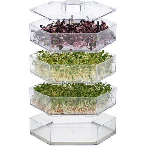 Multi tier seed sprouter + radish seeds - 4 ['healthy sprouts', ' home grown sprouts', ' sprouts vegan product', ' growing sprouts at home', ' radish sprouts', ' growing sprouts', ' radish seeds', ' seed sprouter set']