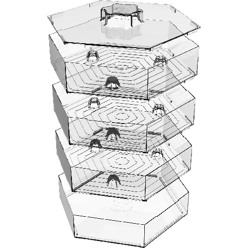 Multi-tier sprouter - a kit with 10 packs of seeds - 9 ['healthy sprouts', ' home sprout growing', ' sprouts vegan product', ' growing sprouts at home', ' sprouters', ' home sprouter', ' sprout growing', ' seeds for sprouting', ' sprouter and seed kit', ' sprouter with seeds', ' sprouter with a set of seeds', ' sprouts', ' sprouting', ' multi-tier sprouter']