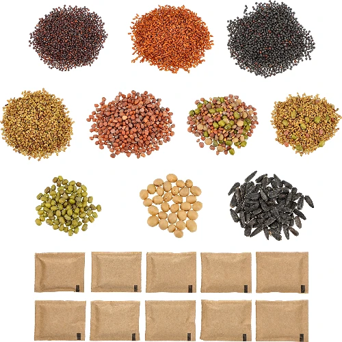 Multi-tier sprouter - a kit with 10 packs of seeds - 3 ['healthy sprouts', ' home sprout growing', ' sprouts vegan product', ' growing sprouts at home', ' sprouters', ' home sprouter', ' sprout growing', ' seeds for sprouting', ' sprouter and seed kit', ' sprouter with seeds', ' sprouter with a set of seeds', ' sprouts', ' sprouting', ' multi-tier sprouter']