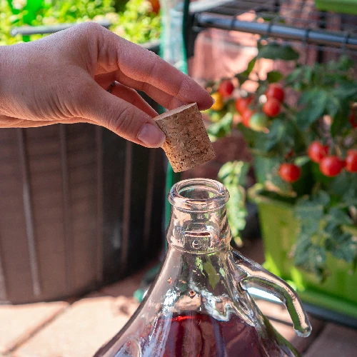 Natural tapered cork Ø22/30mm , agglomerate  - 3 ['cork', ' cork for wine', ' bottle cork', ' wine stopper', ' wine bottles with corks']