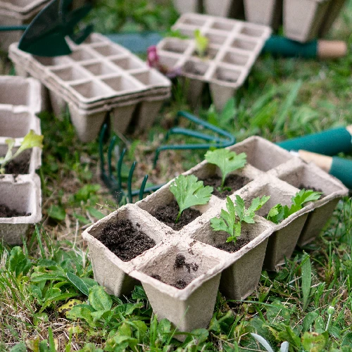 Paper plant pot 6 x 6 x 6, 5 pcs set - 5 ['paper plants pots', ' paper plant pot', ' seedling pot', ' plant pot for herbs', ' herb pot', ' paper pulp casing', ' paper casing', ' plant pots for seedlings', ' paper plant pots for seedlings', ' plant pot for seeds', ' seed pot']