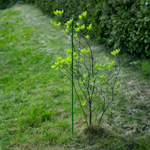 PE-coated steel pole 0.8 m x 8 mm - 6 ['backyard pole', ' plant pole', ' plant support', ' backyard support', ' metal supports for the backyard', ' support for climbing plants', ' supports for climbing plants', ' metal supports for flowers', ' coated metal poles', ' coated poles for plants']