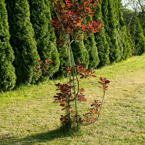 PE-coated steel pole 1,25mx11mm - 5 ['steel support for plants', ' plant pole', ' flower pole', ' potted flower poles', ' plant pole castorama']