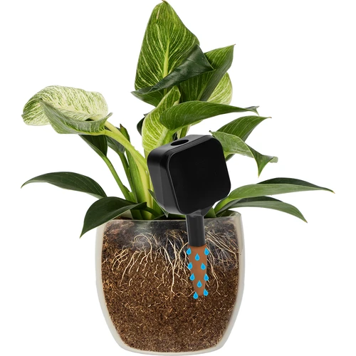 Plant irrigator - black box with ceramic spike, 200 ml - 6 ['irrigator for plants', ' irrigator', ' irrigator in the shape of a box', ' original irrigator', ' plant protection', ' plant care', ' irrigator for flowers', ' irrigation placard', ' irrigation globes', ' irrigation sphere', ' designer irrigator', ' how to take care of plants', ' pretty home accessories', ' designer irrigators', ' unique irrigation globes', ' universal irrigator', ' ceramic spike', ' ceramic irrigator', ' irrigator with ceramic spike']