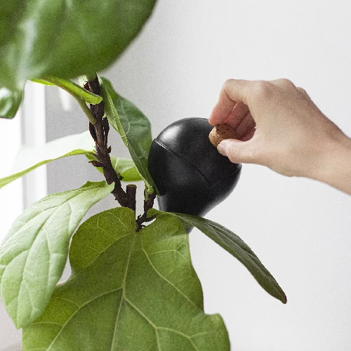 Plant watering globes, black, matt, with a plug, 4 pcs - 13 ['watering globes', ' flower watering dispenser', ' for watering flowers', ' flower watering devices', ' flower watering', ' plant watering', ' watering devices for pots', ' for watering flowers', ' for pot flowers', ' watering system', ' watering globe', ' water dispenser for flowerpots', ' globes for plants', ' dispenser for plants', ' plant watering', ' watering globe', ' top-filled watering globes', ' top-filled dispensers', ' watering globes with plug', ' black watering globes', ' loft style']