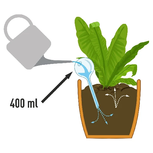 Plant watering globes, white, semi-transparent with a plug, 4 pcs - 5 ['watering globes', ' flower watering dispenser', ' for watering flowers', ' flower watering devices', ' flower watering', ' plant watering', ' watering devices for pots', ' for watering flowers', ' for pot flowers', ' watering system', ' watering globe', ' water dispenser for flowerpots', ' globes for plants', ' dispenser for plants', ' plant watering', ' watering globe', ' top-filled watering globes', ' top-filled dispensers', ' watering globes with plug', ' white watering globes']