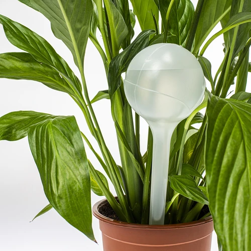 Plant watering spheres - 2 pcs. - 5 ['watering spheres', ' watering spheres for flowers', ' watering sphere', ' for plants', ' for watering', ' for pot flowers', ' watering system', ' flower watering spheres', ' watering balls']