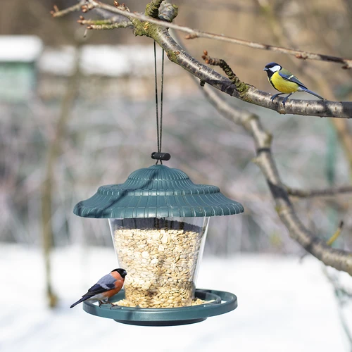 Plastic bird feeder - 17,8 x17 cm, green - 7 ['Bird feeder', ' plastic bird feeder', ' squirrel feeder', ' winter bird feeding']