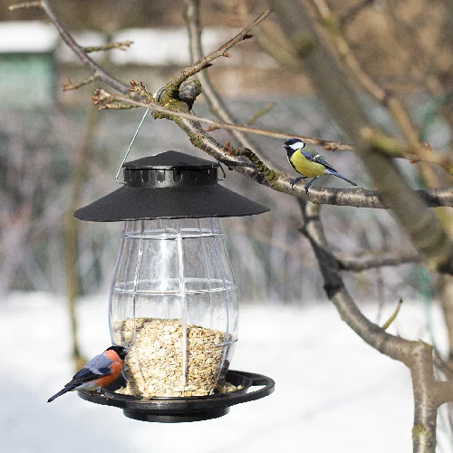 Plastic bird feeder - 21x21x27 cm, black - 8 ['bird feeder', ' feeding birds in winter', ' feeding birds']