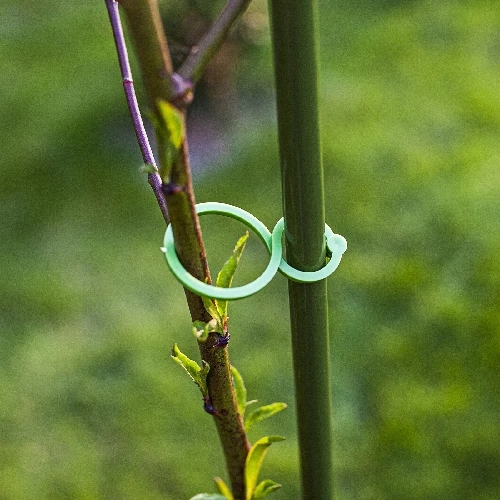 Plastic plant clips 50 pcs. - 7 ['plant plates', ' plant labelling plates', ' for plant labelling', ' plant information plates', ' plant boards']