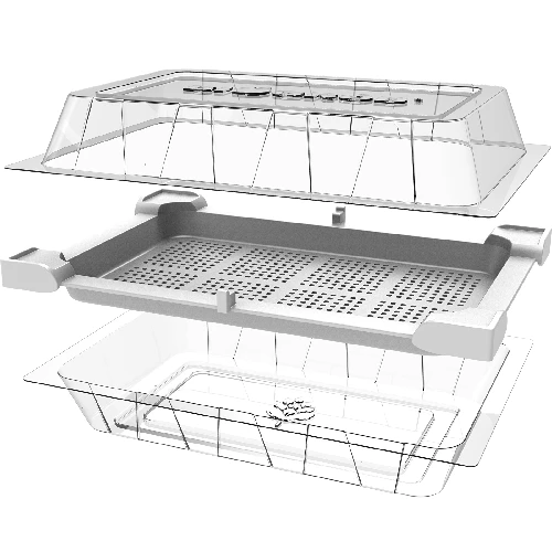 Seed sprouter tray + radish seeds - 4 ['growing sprouts', ' tray sprouter', ' sprouting vessel', ' browin sprouter', ' growing sprouts', ' seed sprouter', ' radish sprouts', ' broccoli sprouts', ' sprouter']