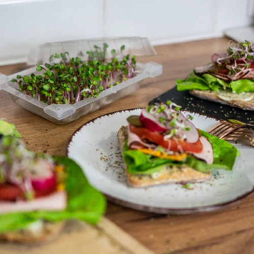 Seed sprouter tray + radish seeds - 10 ['growing sprouts', ' tray sprouter', ' sprouting vessel', ' browin sprouter', ' growing sprouts', ' seed sprouter', ' radish sprouts', ' broccoli sprouts', ' sprouter']