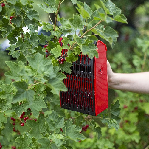 Small fruit picker - 7 ['berry picker', ' fruit comb', ' picking machine', ' fruit picking', ' berry picking', ' berry season']