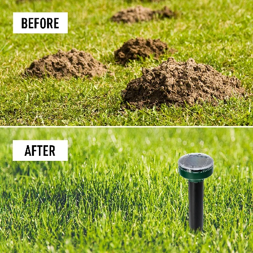 Solar mole repeller - round - 12 ['repeller', ' mole repeller', ' ultrasonic repeller', ' solar repeller', ' rodent repeller', ' repeller for rodents']