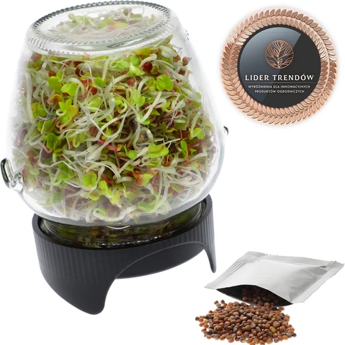 Sprouting jar glass +  radish seeds  - 1 ['sprouter', ' glass sprouter', ' growing sprouts', ' jar sprouter', ' sprouter', ' sprouter', ' radish sprouts']