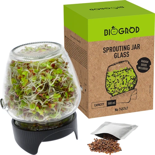 Sprouting jar glass +  radish seeds - 5 ['sprouter', ' glass sprouter', ' growing sprouts', ' jar sprouter', ' sprouter', ' sprouter', ' radish sprouts']