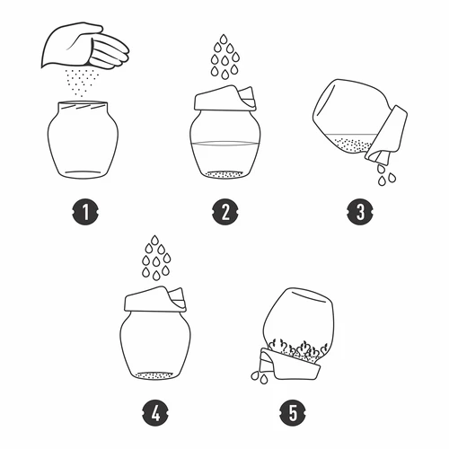 Sprouting jar glass +  radish seeds - 9 ['sprouter', ' glass sprouter', ' growing sprouts', ' jar sprouter', ' sprouter', ' sprouter', ' radish sprouts']