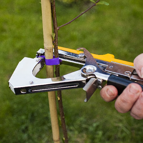 Staples for the garden stapler - 10000 pcs - 4 