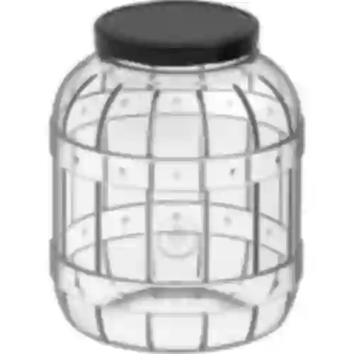 Multifunctional 3 L jar with black metal cap