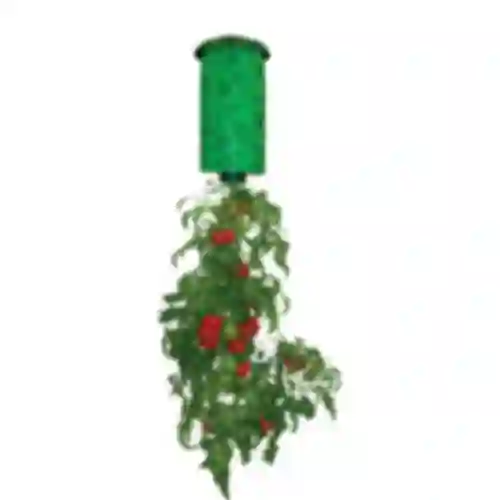 Pot for growing hanging crops (e.g. tomatoes)