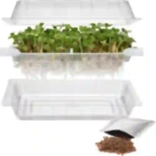 Seed sprouter tray + radish seeds
