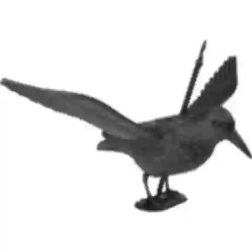 Starting raven - bird repeller