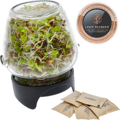 Twist-off sprouter for jars + 5 packs of seeds  - 1 ['sprouter', ' glass sprouter', ' sprout cultivation', ' jar sprouter', ' sprouting device', ' sprouter', ' radish sprouts', ' broccoli rabe', ' mung bean sprouts']