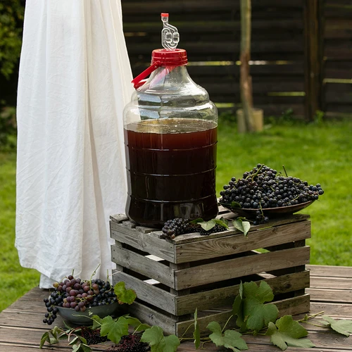 Unbreakable Demijohn - 20 L with handle - 8 ['demijohns', ' shatterproof demijohns', ' 20 l demijohns', ' beer container', ' beer demijohns', ' fermenter', ' fermentable', ' unbreakable demijohns', ' wide mouth demijohns', ' balloon holder']