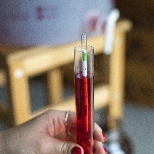 Vinometer (sugar meter) in a plastic test tube - 4 ['Vinometer', ' sugar meter', ' devices for measuring sugar concentration', ' ballingometer', ' for wine', ' for beet', ' areometer']