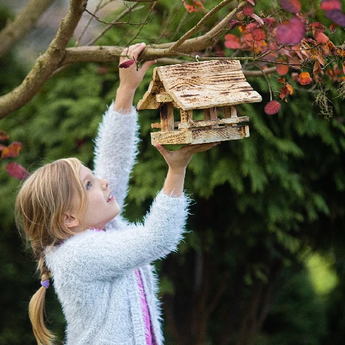 Wooden bird feeder, burnt wood, highlander style - 8 ['birdhouse', ' bird house', ' bird feeding', ' wooden bird feeder', ' burnt wood feeder']