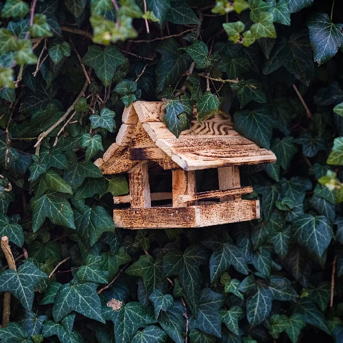 Wooden bird feeder, burnt wood, highlander style - 10 ['birdhouse', ' bird house', ' bird feeding', ' wooden bird feeder', ' burnt wood feeder']