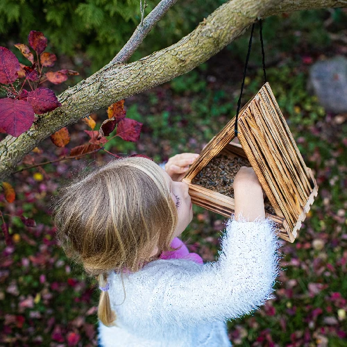 Wooden bird feeder, triangular - 10 ['birdhouse', ' bird house', ' bird feeding', ' wooden bird feeder', ' burnt wood feeder']