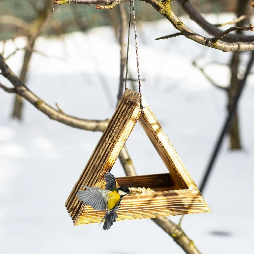 Wooden bird feeder, triangular - 12 ['birdhouse', ' bird house', ' bird feeding', ' wooden bird feeder', ' burnt wood feeder']